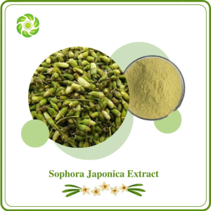 Rutin NF11 Sophora Japonica Extract