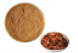Salvia Miltiorrhiza Extract Powder 4:1