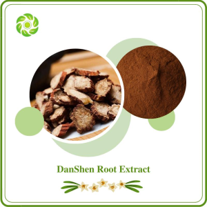 Salvia Root Extract Danshen Extract (5%/10%/20% Tanshinone IIA / 5%-70% Salvianolic Acid B / 5%/10%/50%/90% Danshensu)