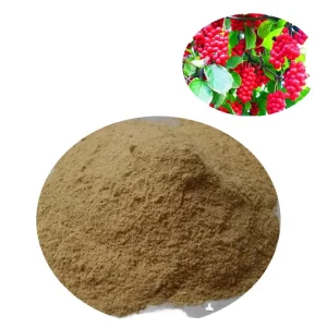 Schisandra Chinensis Extract Powder HPLC Test 2% 5% 9% 20:1 10:1 Water Soluble for Food Supplement