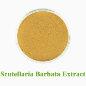 Scutellaria Barbata Herb Extract