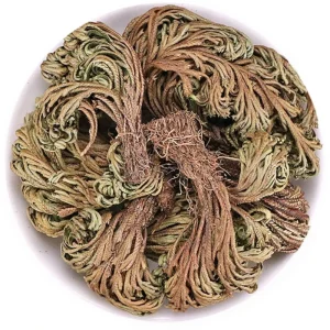 Selaginella Tamariscina Tea Resurrection Grass for Traditional Chinese Medicine Improving Blood Circulation Herba Selaginellae