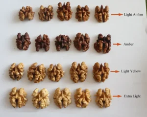 Sell Nutrition Dried Fruit Organic Walnut Kernel Without Shell