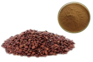 Semen Ziziphi Spinosae Extract Powder 4:1/10:1