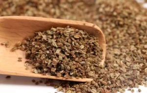 She Chuang Zi Cnidium monnieri Dry Fruit High Quality Chinese Herbal Plant Seed Men Kidney Herbs She Chuang for Female Fertility