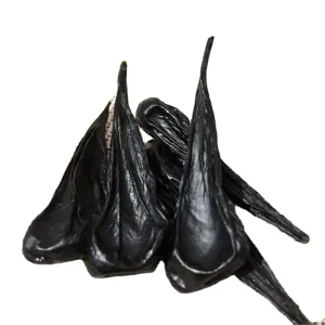 She Dan Natural Real Whole Dried Raw Chinese Moccasin Snake Deinagkistrodon Acutus Gallbladder Top Level Quality for Herb
