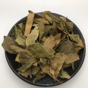 Shi Geng Teng Ye Gymnema Sylvestris Leaves Chinese Herbal Plants Grass Dried Herbs Health Foods for Blood Sugar