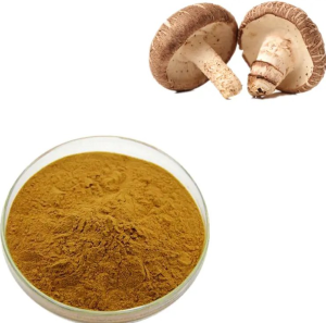 Shiitake Extract Powder with Polysaccharides Lentinus Edodes Organic 10:1 20:1
