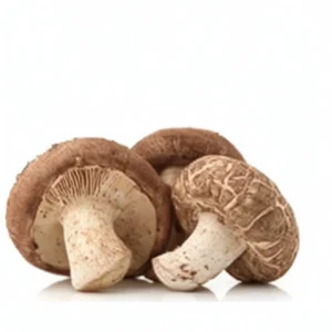Shiitake Mushroom Extract Powder 10:1 Natural Lentinus Edodes Extract Factory Supply