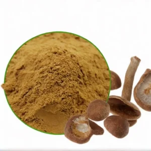 Shiitake Mushroom Extract Powder 20 35% Polysaccharides Dietary Supplement Raw Material