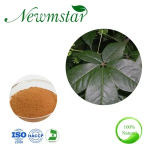Siberian Ginseng Extract 10 1 Acanthopanax Senticosus Extract