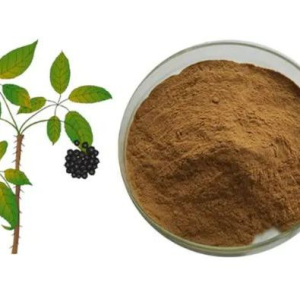 Siberian Ginseng Extract Powder with Eleutherosides