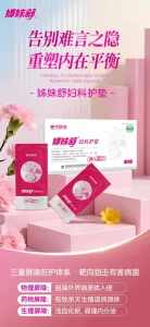 Silver ion Feminine Pad for Advanced Gynecological Health Sub 33 Year Factory Direct ISO & TUV Certified Superior Odor Control