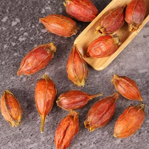 Single Spices & Herbs Dried Gardenia Fruit Dried Cape Jasmine Fruit
