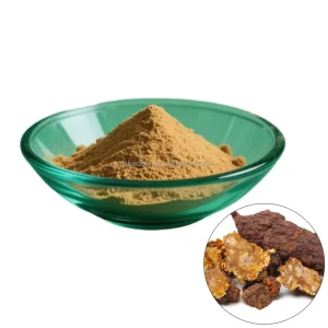 Songaria Cynomorium Herb Extract Powder 10:1 Suo Yang Powder for Men’s Health Care