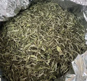 Songxi Health White Peony