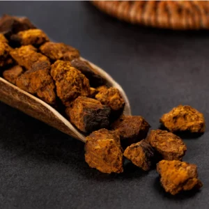 Spices Chaga Cube Diet Spices Chinese Herbs Natural Health Foods Products for Seasoning