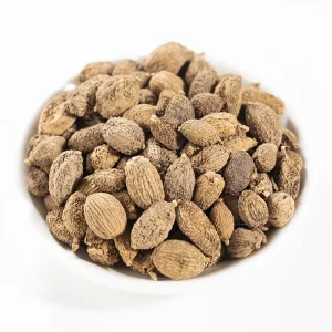 Spices Villous Amomum Fruit Chinese Herb Medicine Amomi Fructus for Digestive Health and Wellness