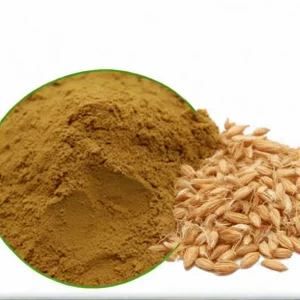 Spray Dried Malt Extract Powder for Baking Needs