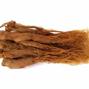 Supply Red Ginseng Root Extract Raw Material Herbal Extract