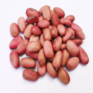 Swrod Jackbean Seed Chinese Herb Medicine for Health Food and Remedies