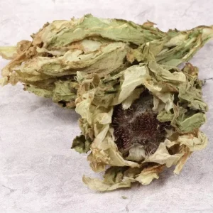 Tian Shan Xue Lian Bulk Snow Lotus Flower Saussurea Involucrata for Herb