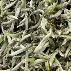 Top Grade Chinese Tea Fuding Silver Needle Early Spring First Pick High Amino Acids Antioxidant White Tea Loose Leaf
