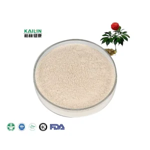 Top Quality Tian qi Extract Sanqi Powder Panax Notoginseng Root Extract Total Saponins 100% Natural Sanqi