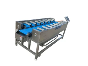 Top Quality and Good Price Semi-automatic Manual 12 Plates Grape mango Combination Weighing Scale Sorter for Packing Machine
