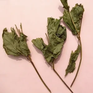 Traditional Chinese Ginseng Leaf Flower Tea 1kg
