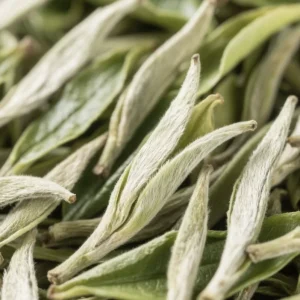 Traditional Chinese Health Promoting Tea That Enhances Immunity and Is Suitable for Daily Long Term Consumption
