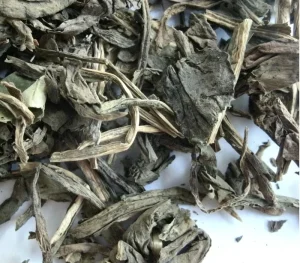 Traditional Chinese Herb Dyer Woad Leaf Folium Isatidis 1kg Ready-to-Eat