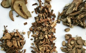 Traditional Chinese Herb Export Turpinia Arguta 1kg Ready to Eat