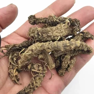 Traditional Chinese Herbal Medicine Valerian Root for Health Care Product