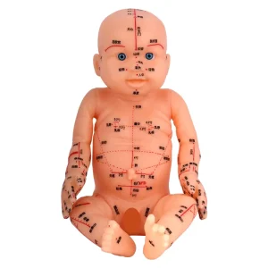 Traditional Chinese Medicine Acupuncture Pediatric Acupoint Manikin Soft Eco friendly PVC Engraved Medical Science