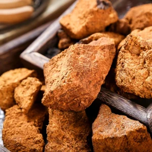 Traditional Chinese Medicine Chaga Mushroom Herbal Tea for Wellness and Vitality