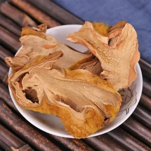 Traditional Chinese Medicine Cibotium Herbal Extract Natural Dried East Asian Tree Fern Rhizome Gou Ji