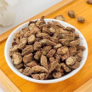 Traditional Chinese Medicine Dipsaci Radix Xu Duan for Herbal Medicine & Extract