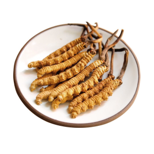 Traditional Chinese Medicine Dried Cordyceps Sinensis Dong Chong Xia Cao
