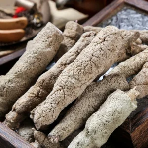 Traditional Chinese Medicine Freshwater Sponge