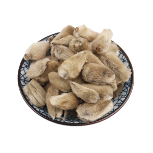 Traditional Chinese Medicine Magnoliae Flos for Herbal Medicine and Tonic