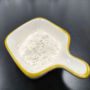Traditional Chinese Medicine Notoginseng Extract for The Blood and Circulation