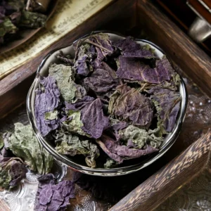 Traditional Chinese Medicine Perilla Leaf for Herb Healing and Wellness