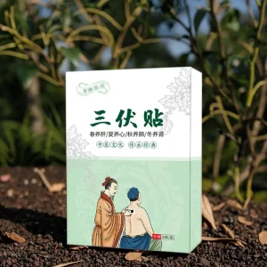 Traditional Chinese Medicine Plaster Herbal Moxibustion Heat Patch for Pain Relief Rehabilitation Therapy Supplies