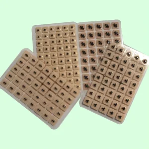 Traditional Chinese Medicine Vaccaria Ear Seeds