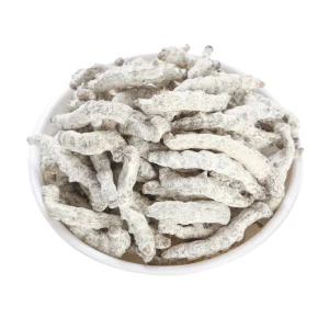 Traditional Chinese Medicine White Silkworms for Herbal Remedy and Wellness