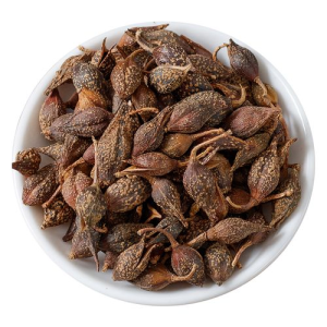 Traditional Herbal Medicine Forsythiae Fructus Chinese Herbs for Reducing Swelling