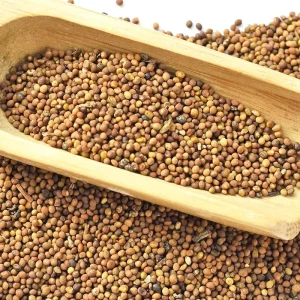 Tu Si Zi Chinese Traditional Medicine Semen Cuscutae Seeds