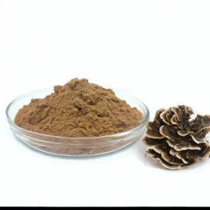 Turkey Tail Mushroom Extract Powder 10:1