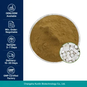 Various In-Stock Fine Traditional Chinese Wild Yunnan Poria Cocos Powder 500g Bulk High Quality Sulfur-Free